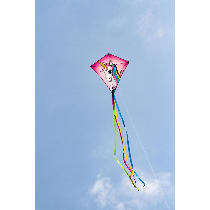 HQ Kites Eddy Dragon 27 Diamond Kite